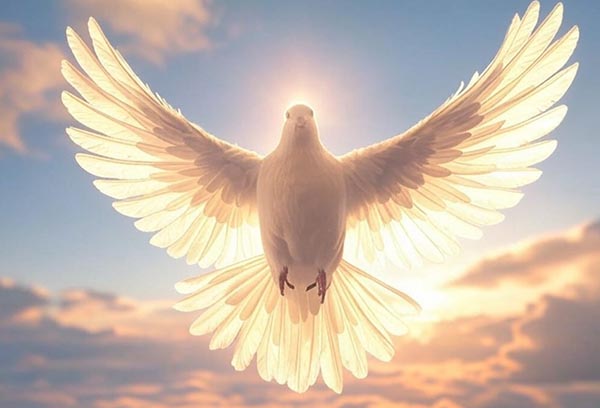 El Espíritu Santo: El Gran Desconocido - Catholicus.eu Español