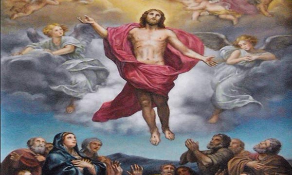 40 Días con el Resucitado: El Camino hacia el Cielo que Cambió la Historia  - Catholicus.eu Español